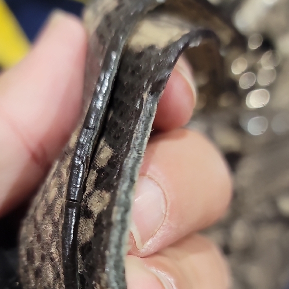 Kate Spade Tan Snake Print Shoulder Bag - Picture 8 of 13